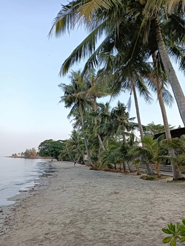 เช่ารถตู้พร้อมคนขับพัทยา